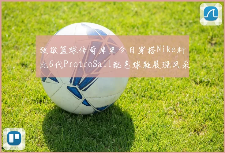 致敬篮球传奇库里今日穿搭Nike科比6代ProtroSail配色球鞋展现风采