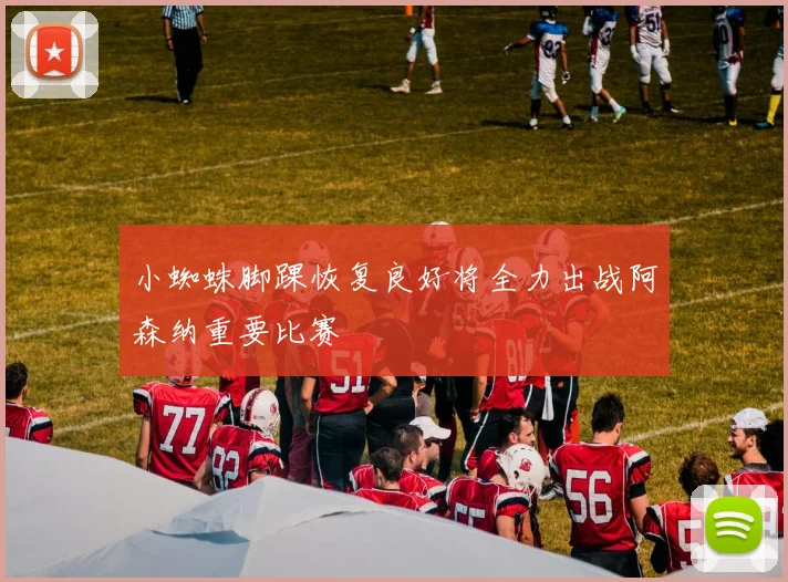 小蜘蛛脚踝恢复良好将全力出战阿森纳重要比赛