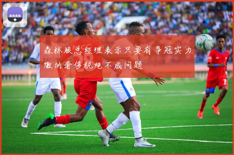 森林狼总经理表示只要有争冠实力缴纳奢侈税绝不成问题